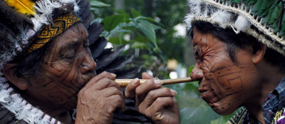 Mapacho Rap Zeremonie - Das Heilige Schnupftabakritual - Amazonas Pflanzen Schamane